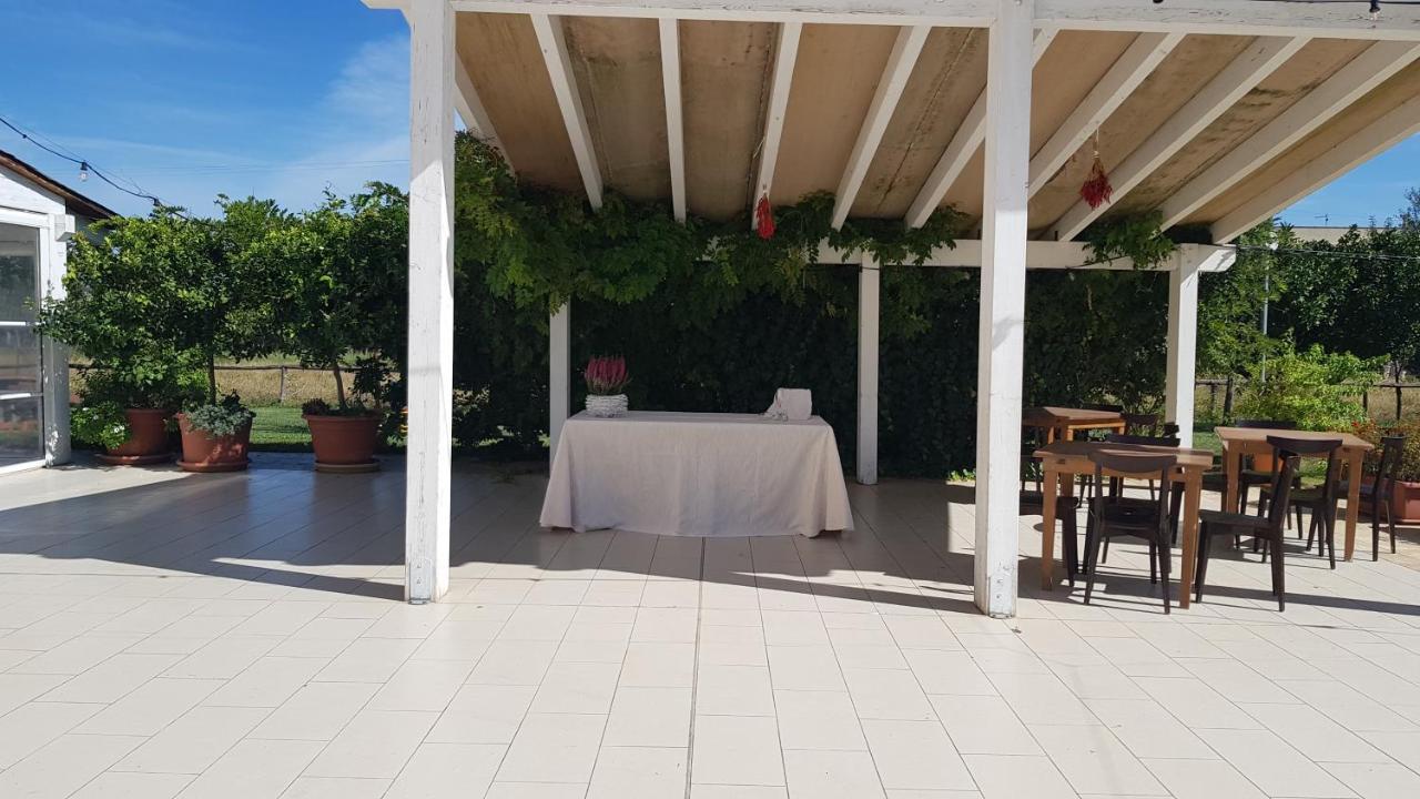 Il Praedio Della Reale Farm stay